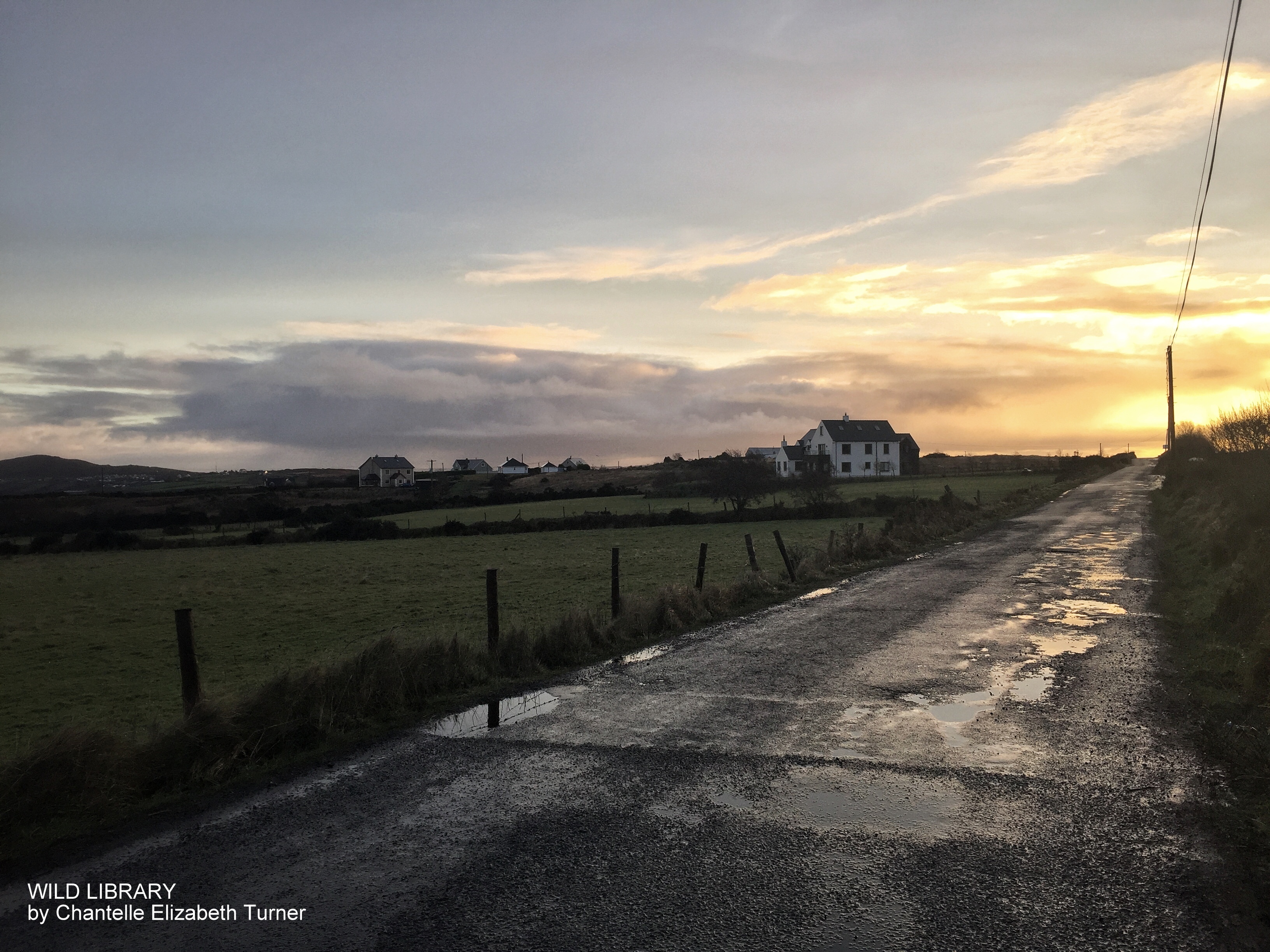Wild Library_Diary Stories_Lifting the fog_ Chantelle Elizabeth Turner