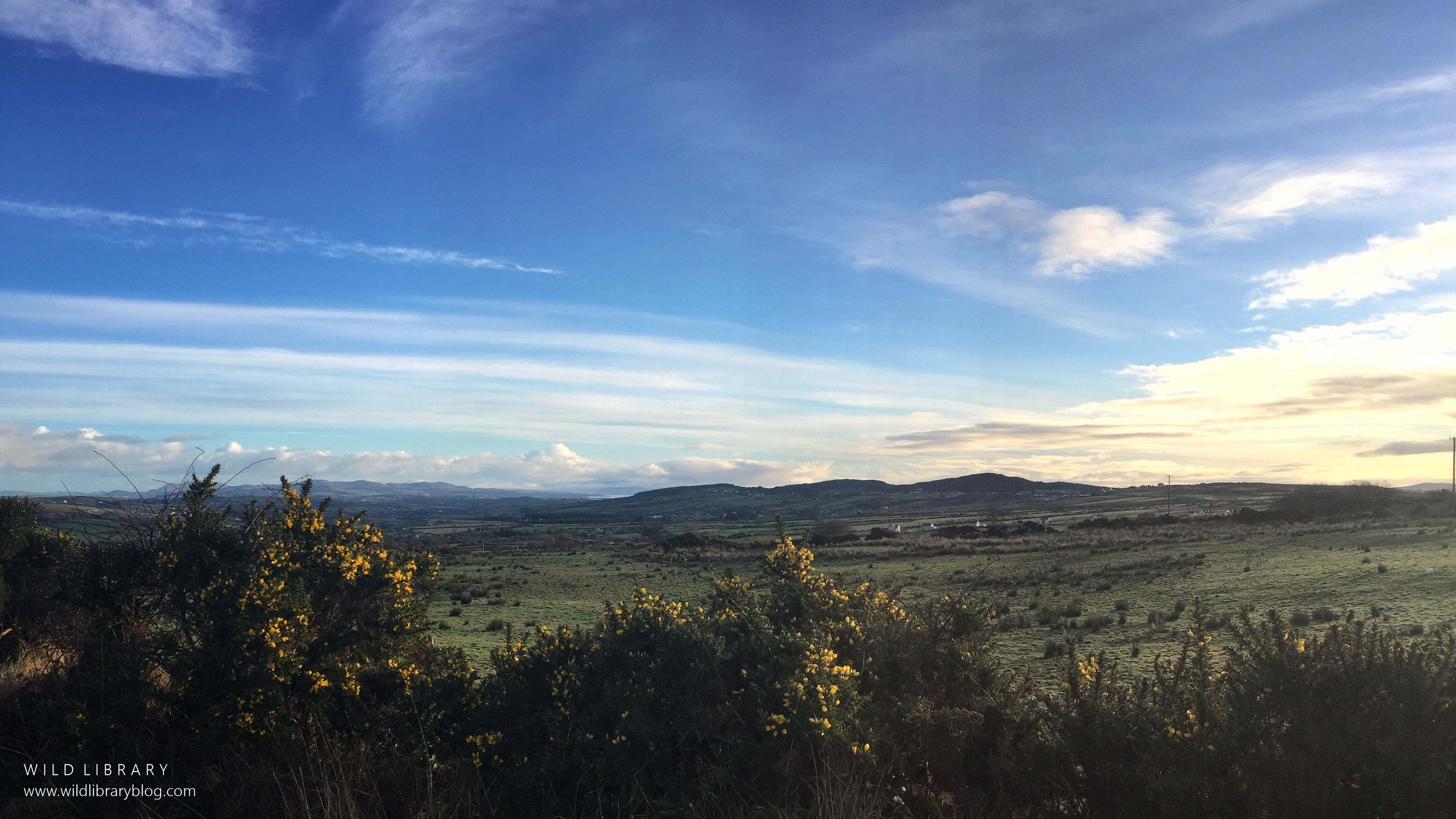 wild library blog_15 things I've learnt since moving abroad