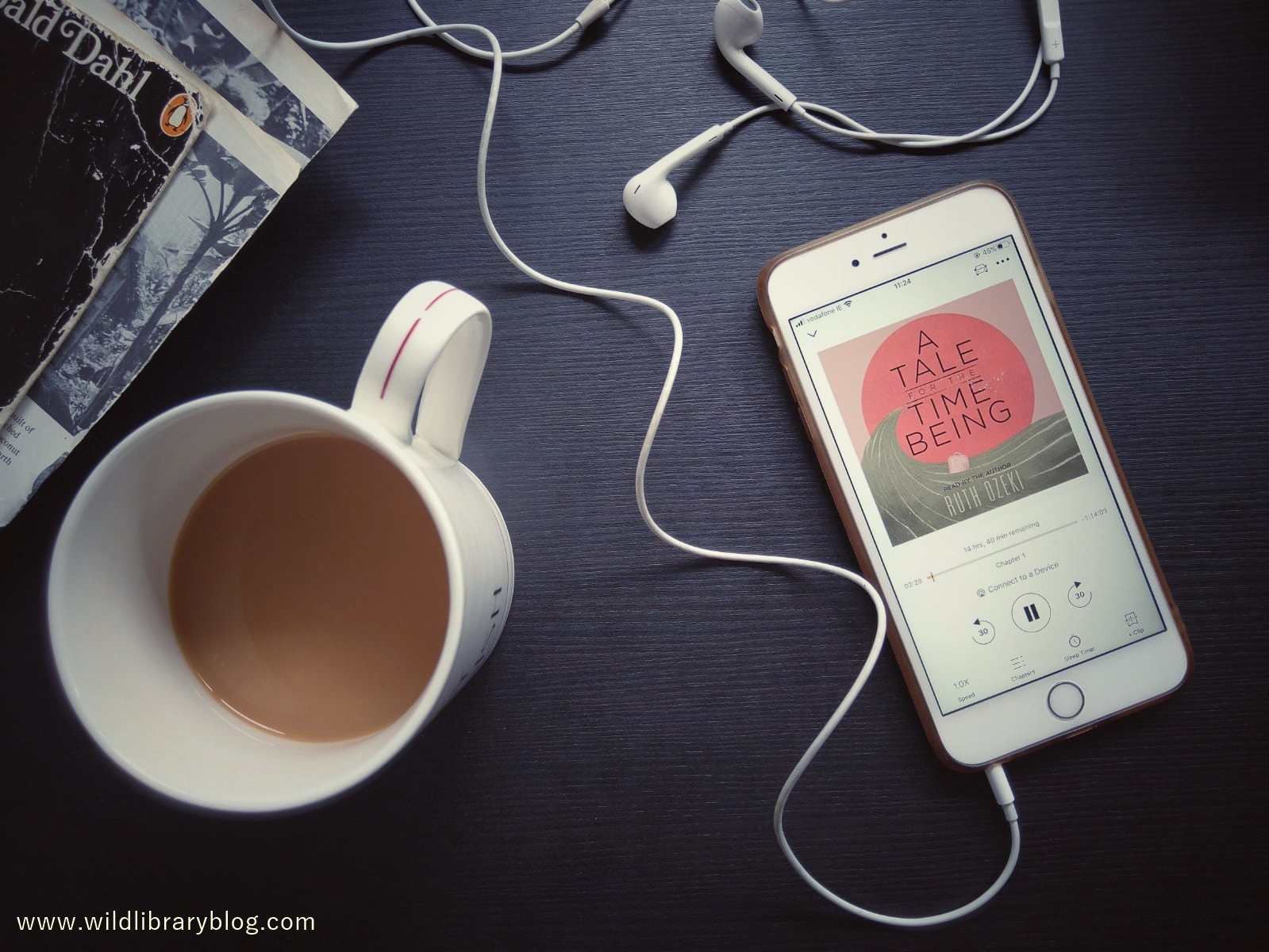 A Tale for the Time Being – Ruth Ozeki – Wild Library