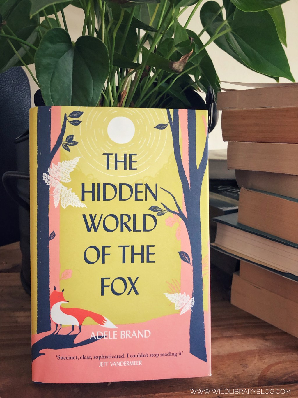The Hidden World of the Fox by Adele Brand – Book&nbsp;Review
