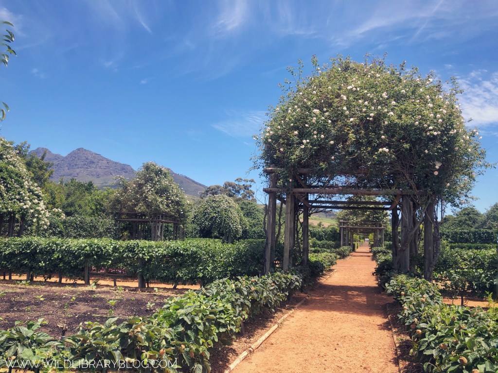 Finding Wildflowers the Old Fashioned&nbsp;Way