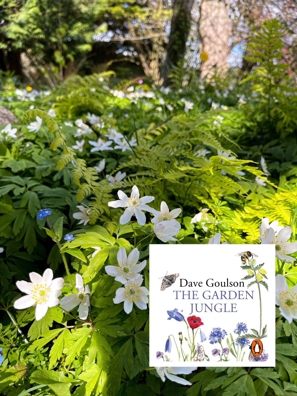The Garden Jungle by Dave Goulson – Book&nbsp;Recommendation