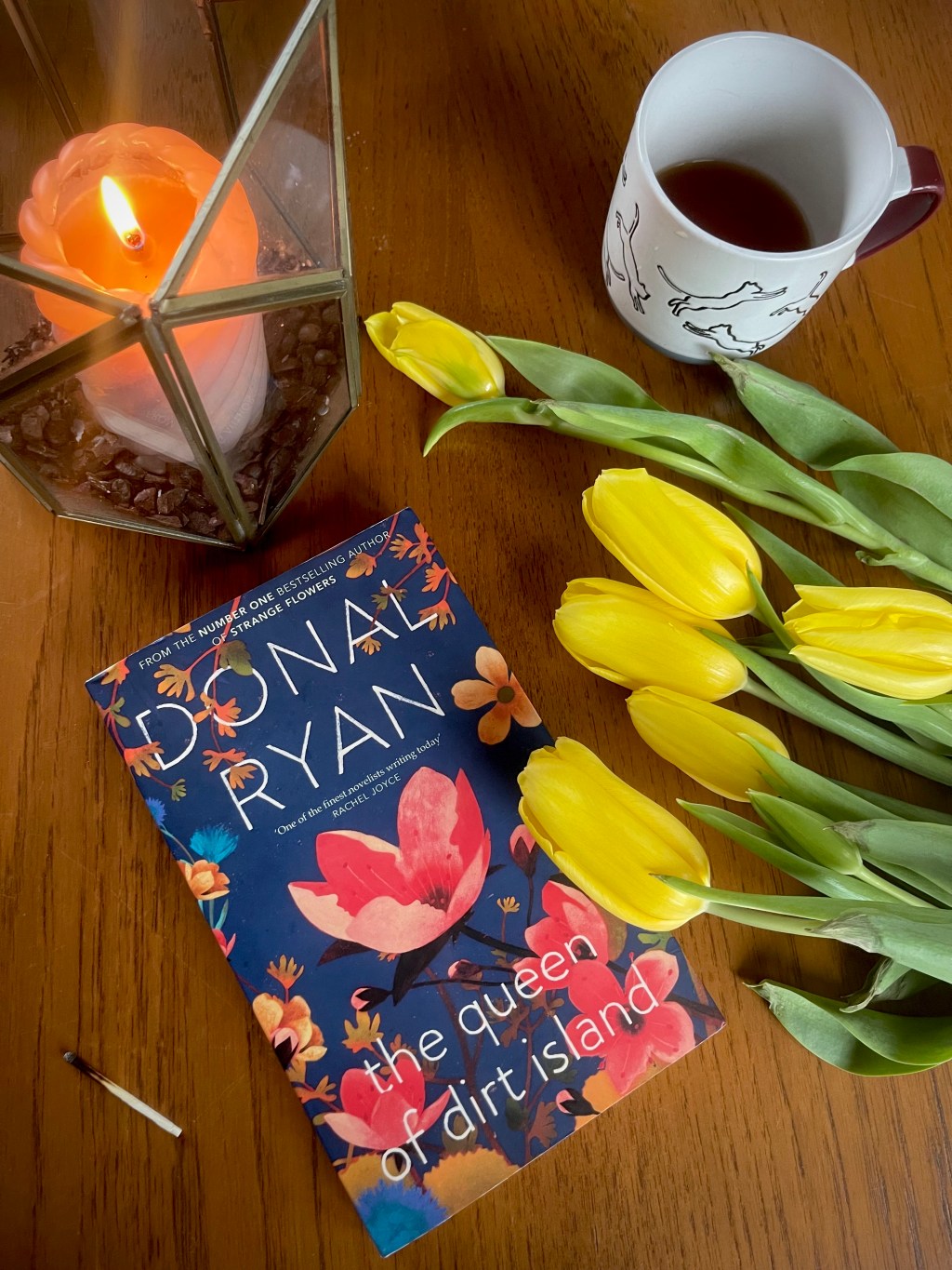 Book recommendation – The Queen of Dirt Island by Donal&nbsp;Ryan