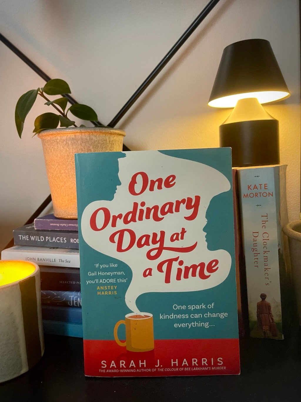 One Ordinary Day at a Time by Sarah J. Harris – Book&nbsp;recommendation